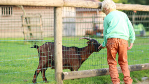 Zoo