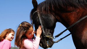 Kids with Horse