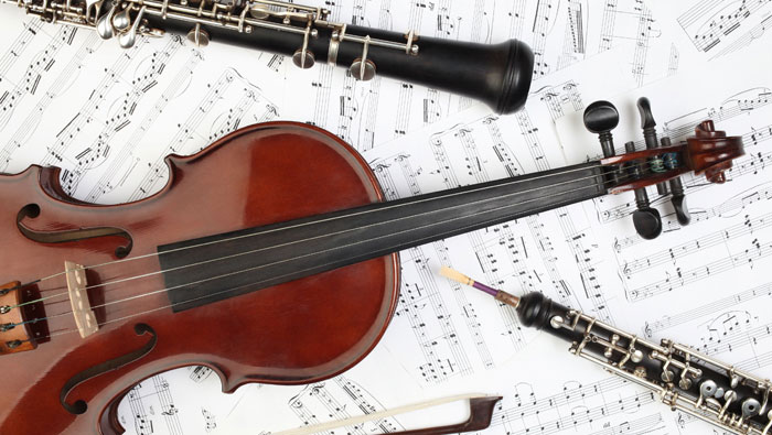 Violin